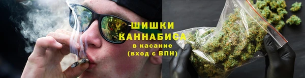 сатива Белоозёрский